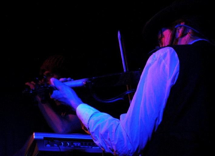 AnalogueBirds 0411 (17)